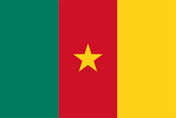 喀麦隆女足队徽