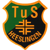 荷林根队徽
