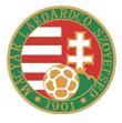 匈牙利U19队徽