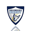 科隆米尔斯U19队徽