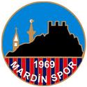 马丁体育队徽