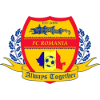FC罗马尼亚队徽