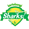 卡里班吉鲨鱼队徽