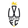 瓦兹伊特队徽