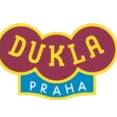 杜库拉U19队徽