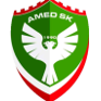 阿美德女足队徽
