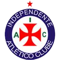 瓦尔德佩纳斯室内足球队队徽