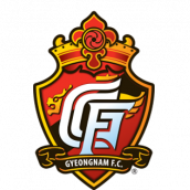 庆南FC队徽
