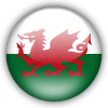 威尔士女足队徽