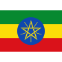 埃塞俄比亚队徽