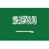 沙地阿拉伯U19队徽