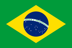 巴西女足队徽