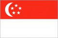 新加坡U23队徽