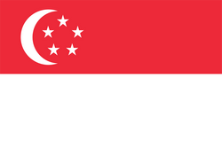 新加坡女足队徽