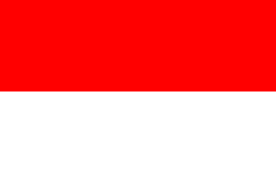 印尼女足队徽