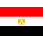 埃及队徽