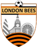 伦敦蜜蜂女足队徽