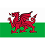 威尔士队徽