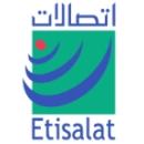埃及电信队徽