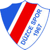 杜茲塞队徽