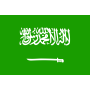 沙特阿拉伯队徽