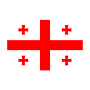 格鲁吉亚队徽