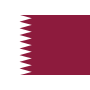 卡塔尔队徽